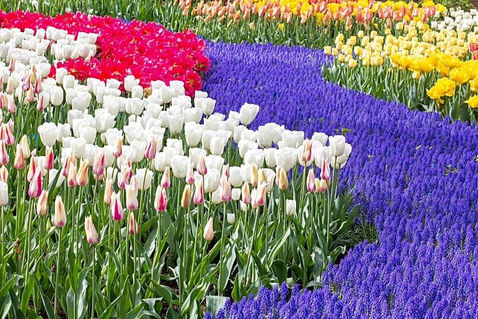 Golden Tulip Leiden Centre