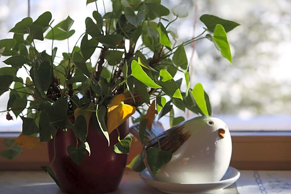 Hotel - Restaurant Gosauerhof