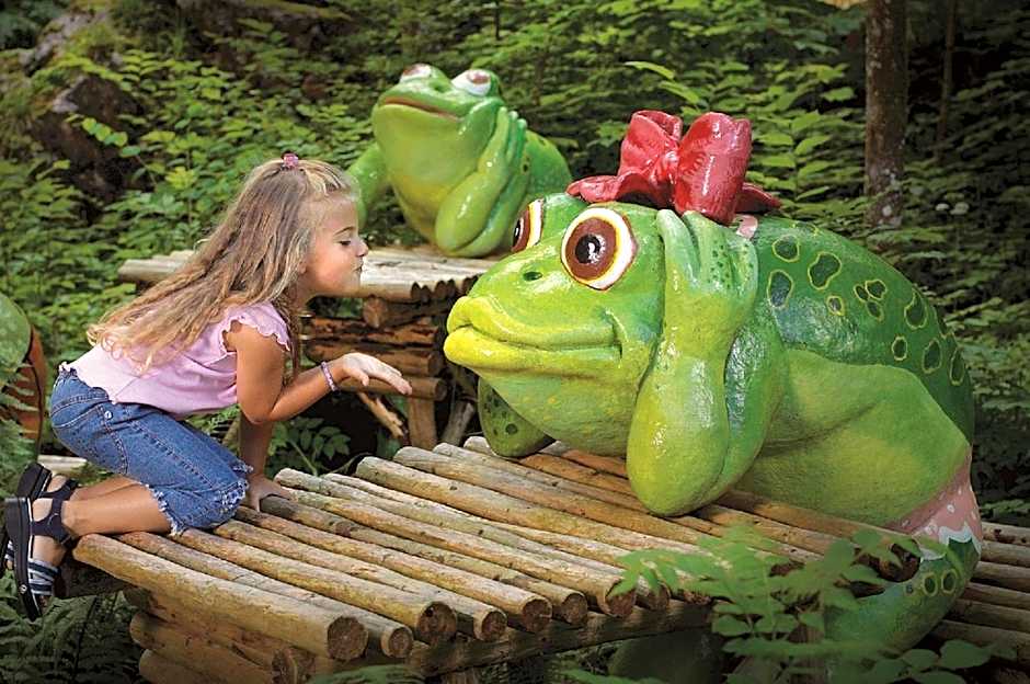 Landhotel Maiergschwendt inkl Chiemgaukarte