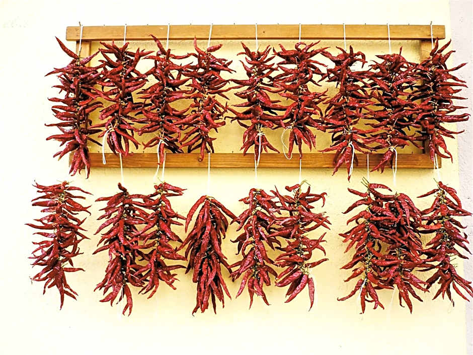 Hotel Parthenius Cirella di Diamante