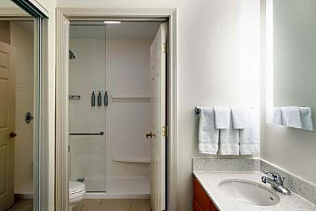 Suite, 1 Bedroom (1 Queen Bed and 1 Double Sofa Bed)