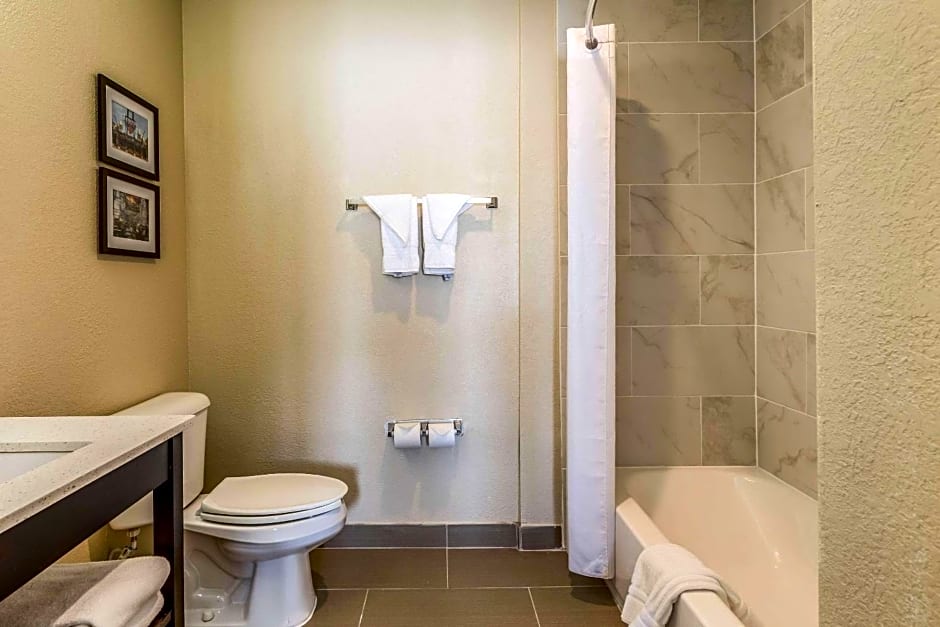 Comfort Inn Downtown Detroit