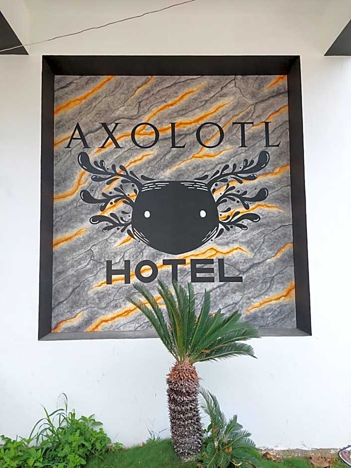 Hotel Axolotl