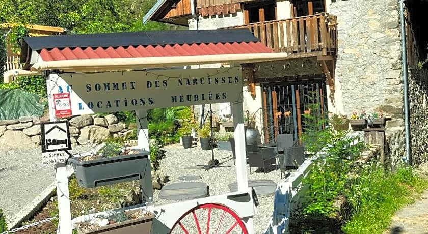 AU SOMMET DES NARCISSES