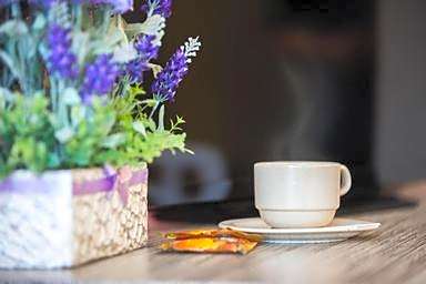 Lavender Inn Nusa Bestari