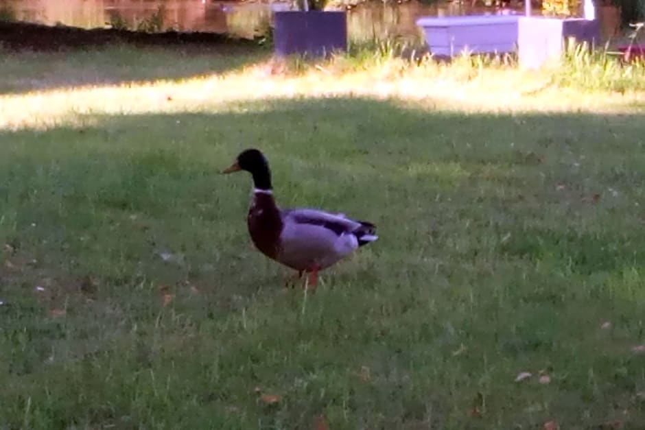 Havre de paix au bords de l'Eure - divers hébergements