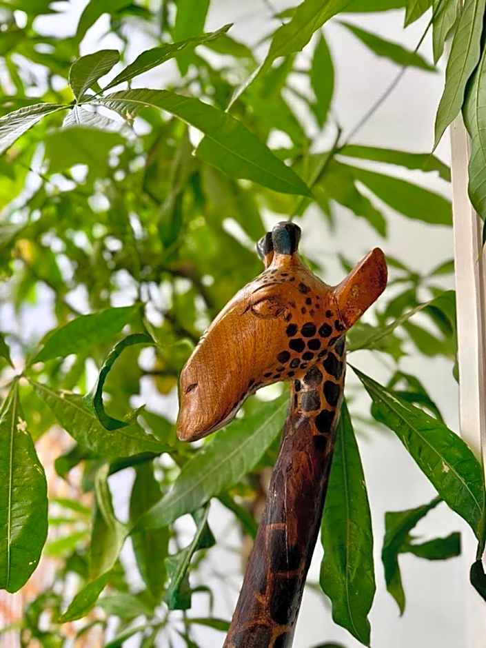 Riad Dollar Des Sables & Spa