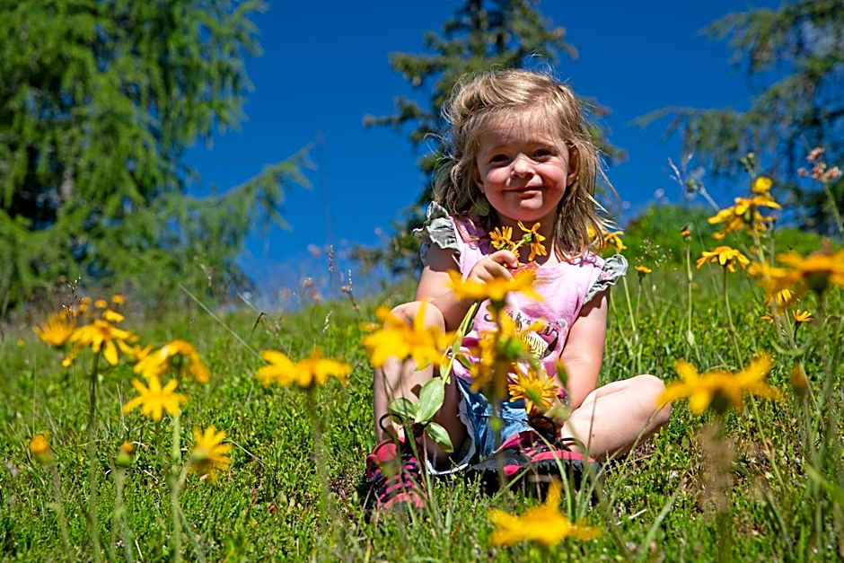 Alpenhotel & Aparthotel Lanz