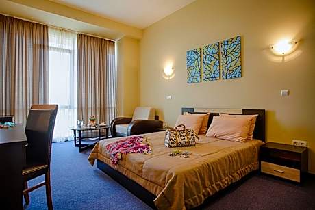 Business Suite Double - New Wing