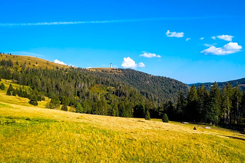 Berggasthof zur Todtnauer Hütte