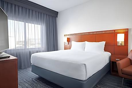 Suite, 1 King, Sofa bed