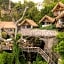 The Korowai