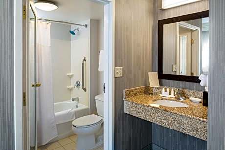 One-Bedroom Suite with City View