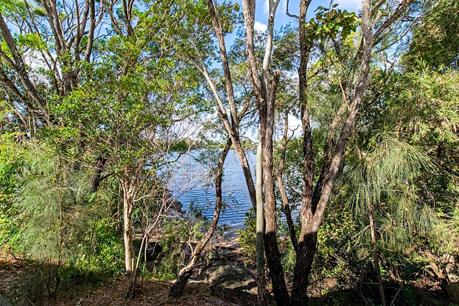 Nightcap at Northern Grounds