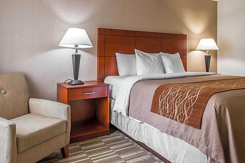 Comfort Inn & Suites University South