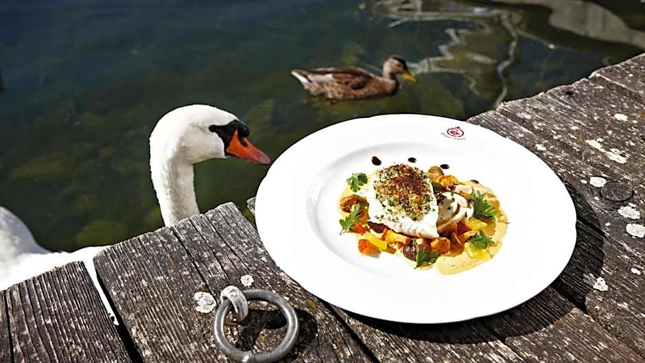 Seehotel Schwan