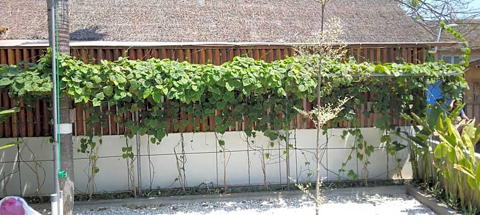 Roots Hotel Trawangan