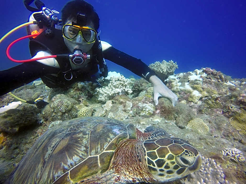 Daifuting Bed and Breakfast