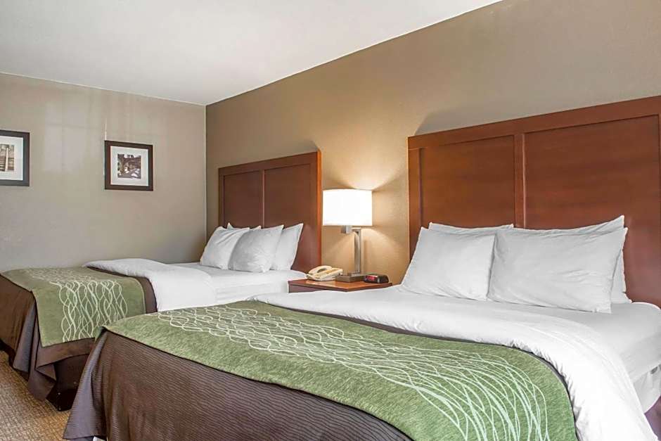 Comfort Inn Edinburg South