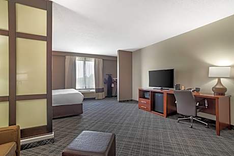 1 King Bed, Suite, Nonsmoking, Accessible