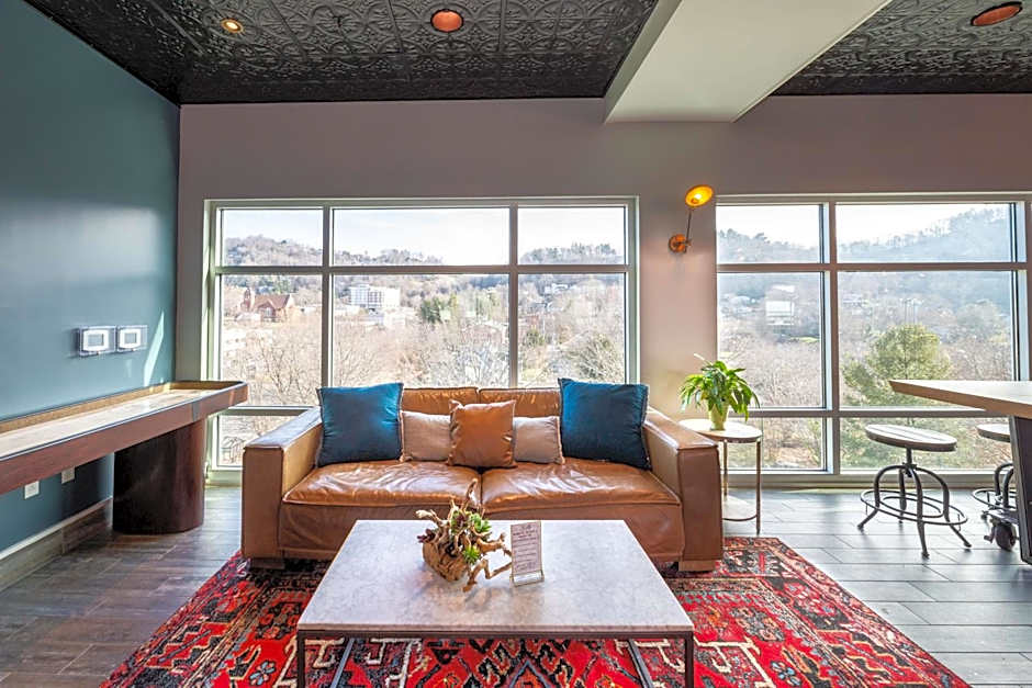 Hilton Garden Inn Asheville Downtown