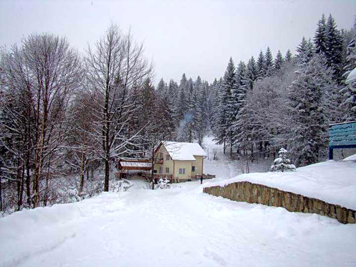 Șoaptele pădurii & Căsuța din pădure