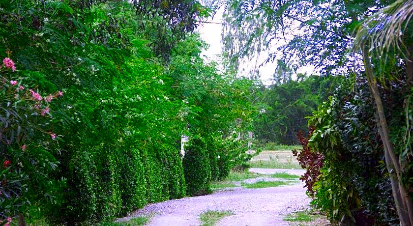 Kp Mountain Beach Resort