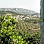 Perivoli Country Hotel & Retreat