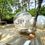 Les Bulles De Bordeaux