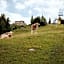 CHALET G12 - Mountain Luxury Apartments by Peak Stay