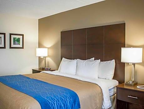 1 King Bed, Business Room, Non-Smoking