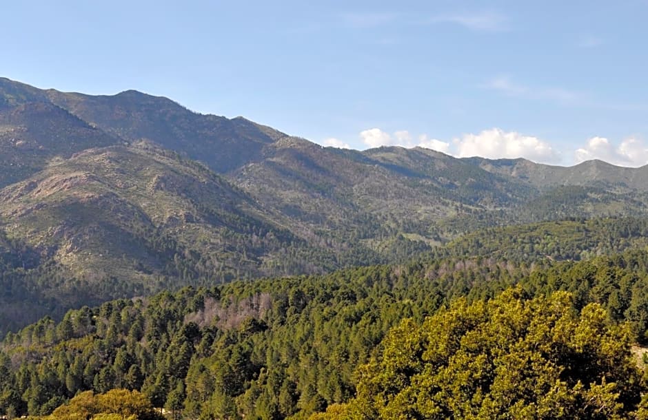 Chambres d'Hôtes Villa Cardellini