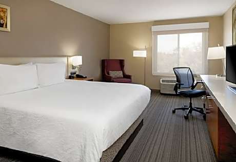 1 King Bed W/Accessible Bathtub - High Floor