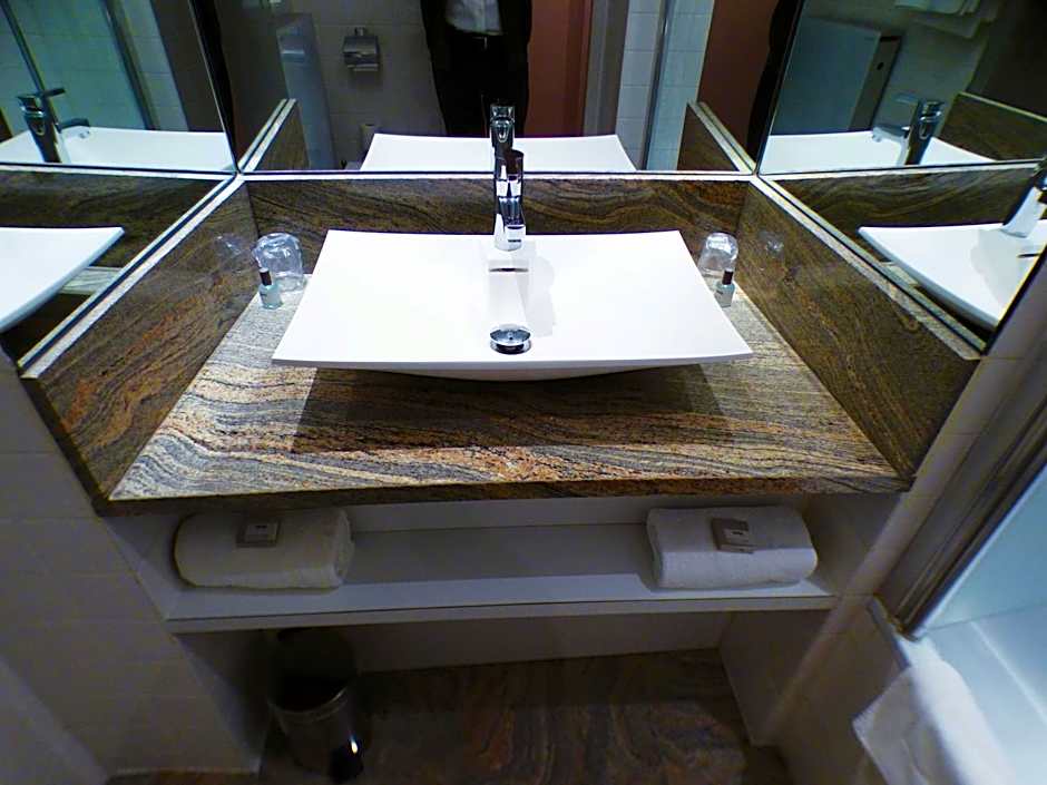 Hotel Terminus du Forez Saint Etienne Centre