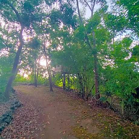 Double Room with Balcony and Sea View