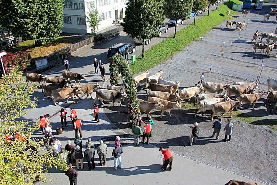 Hotel & Spezialitätenrestaurant zur Linde