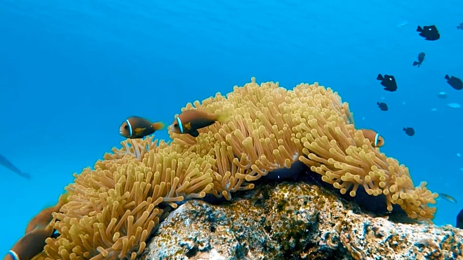 La Luna Boutique Dhangethi