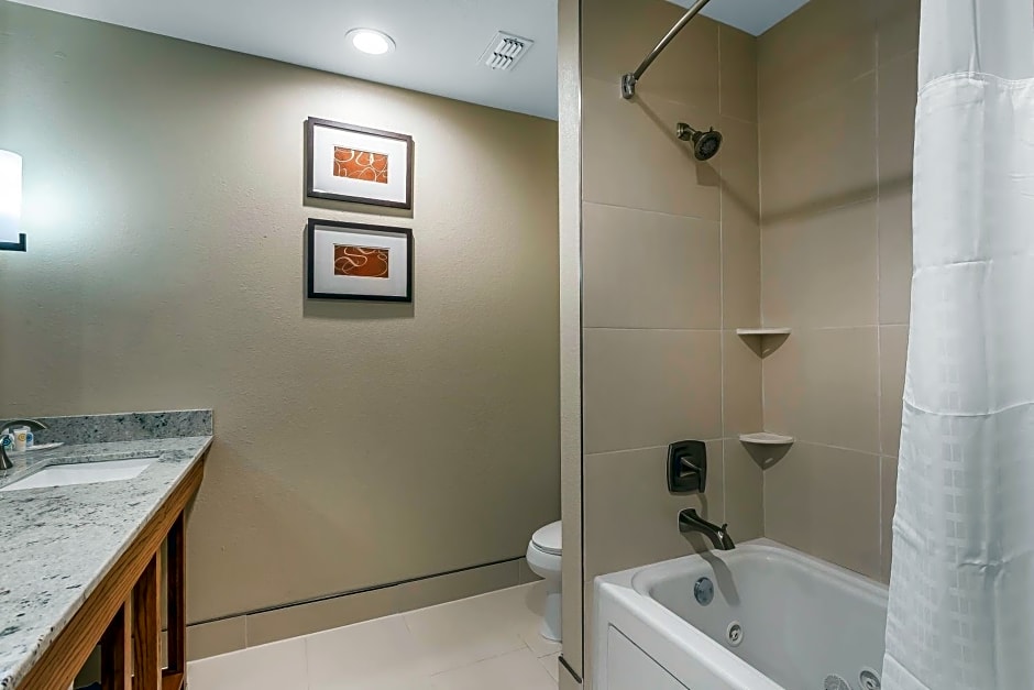Comfort Suites University