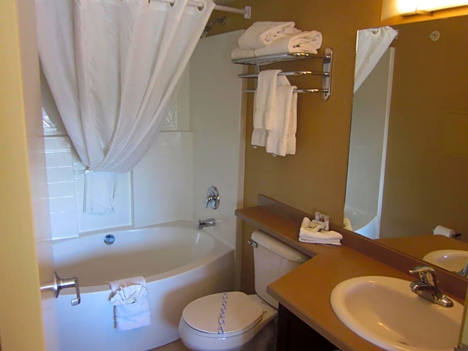 Photo 1 of 7 of Studio Suite King Bed