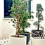 Innova Spaces Alicante