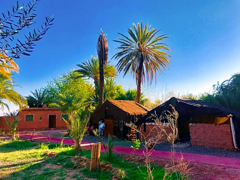 Bivouac Lot Of Stars