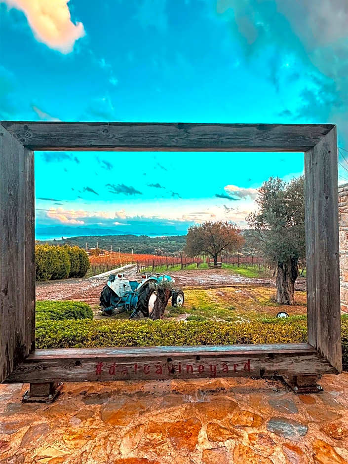 Datça Vineyard Guesthouse - Over 14 years old only