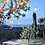 Agriturismo Macchia dei briganti - b&b