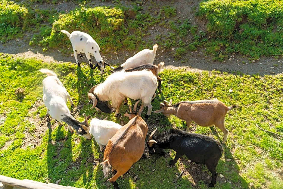 Familienhotel Unterreith