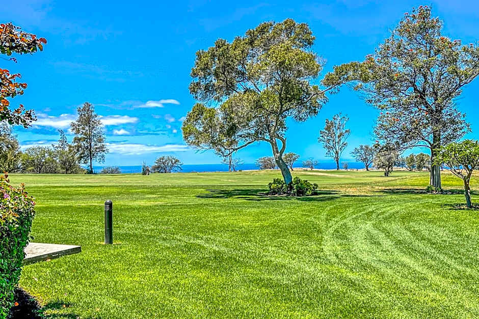 Waikoloa Fairways C120