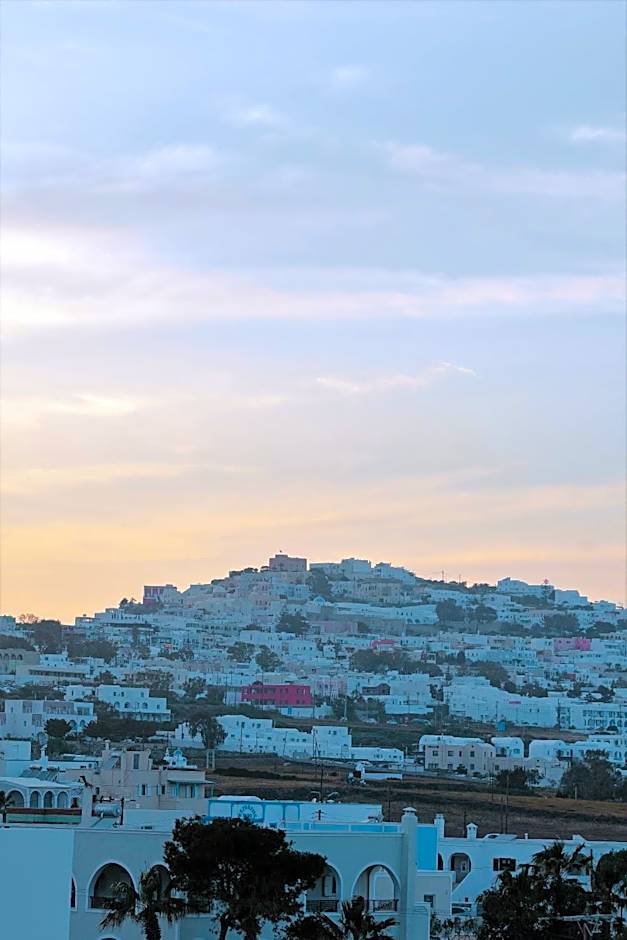 Seven Grapes - Karterados