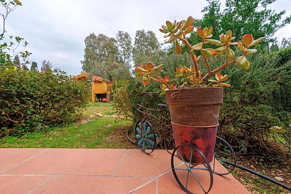 B&B Gassa d'Amante
