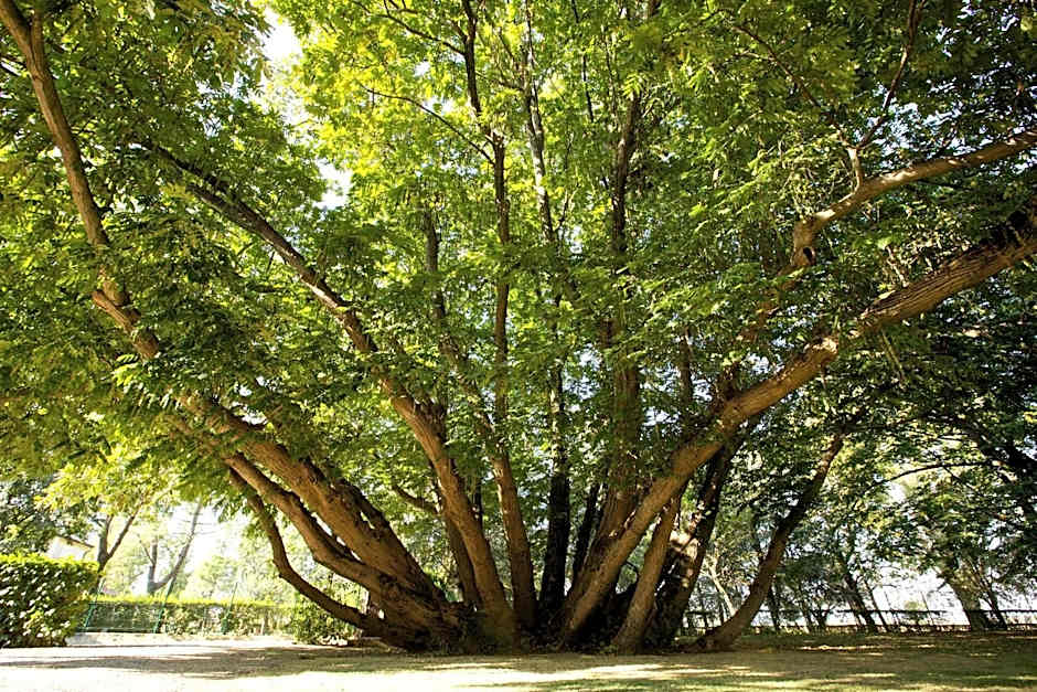 Relais Villa Ormaneto