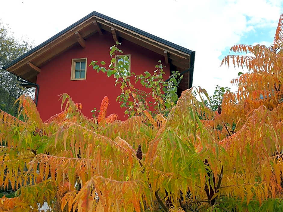 Activity Appartamento Vacanze