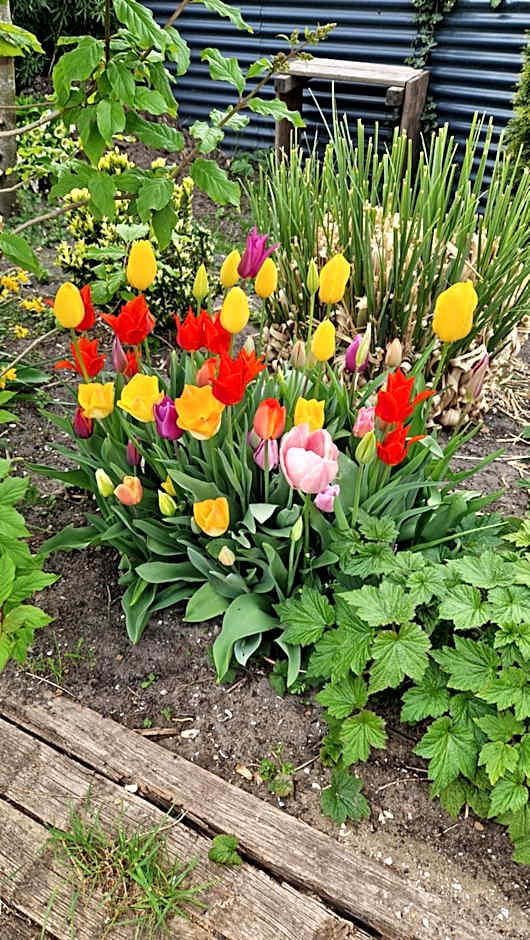 Bed & Breakfast Donna